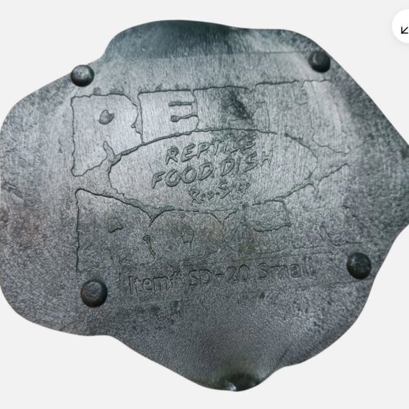 Reptile Food Water Bowl Plate Gecko Feeder Bearded Dragon Feeding Color Green - Picture 5 of 9